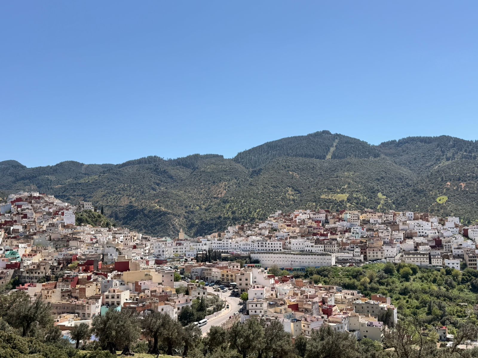 Panorama der Stadt Moulay Idriss Zerhoun